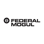 Go to brand page Federal-Mogul